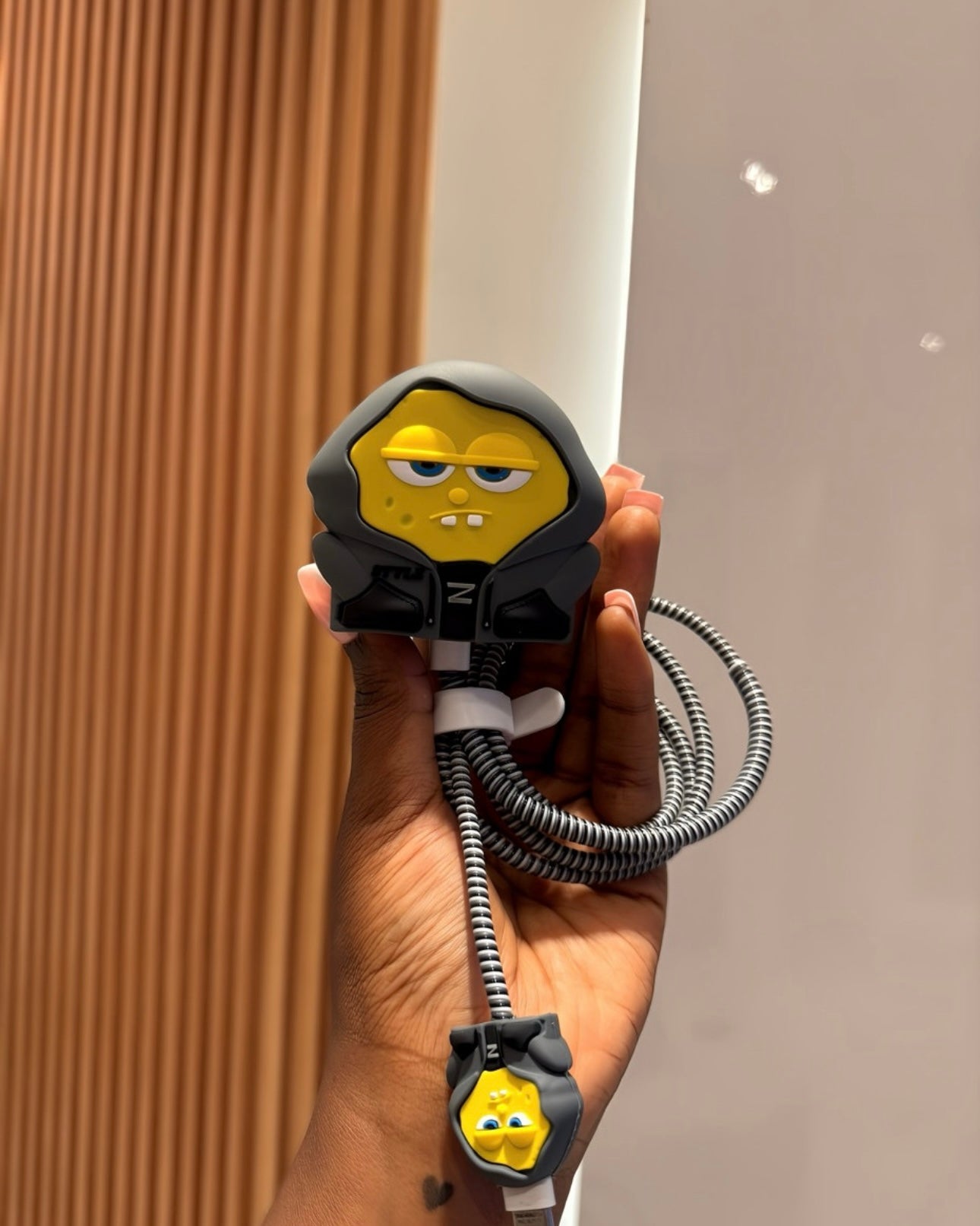 3D Charger Protector