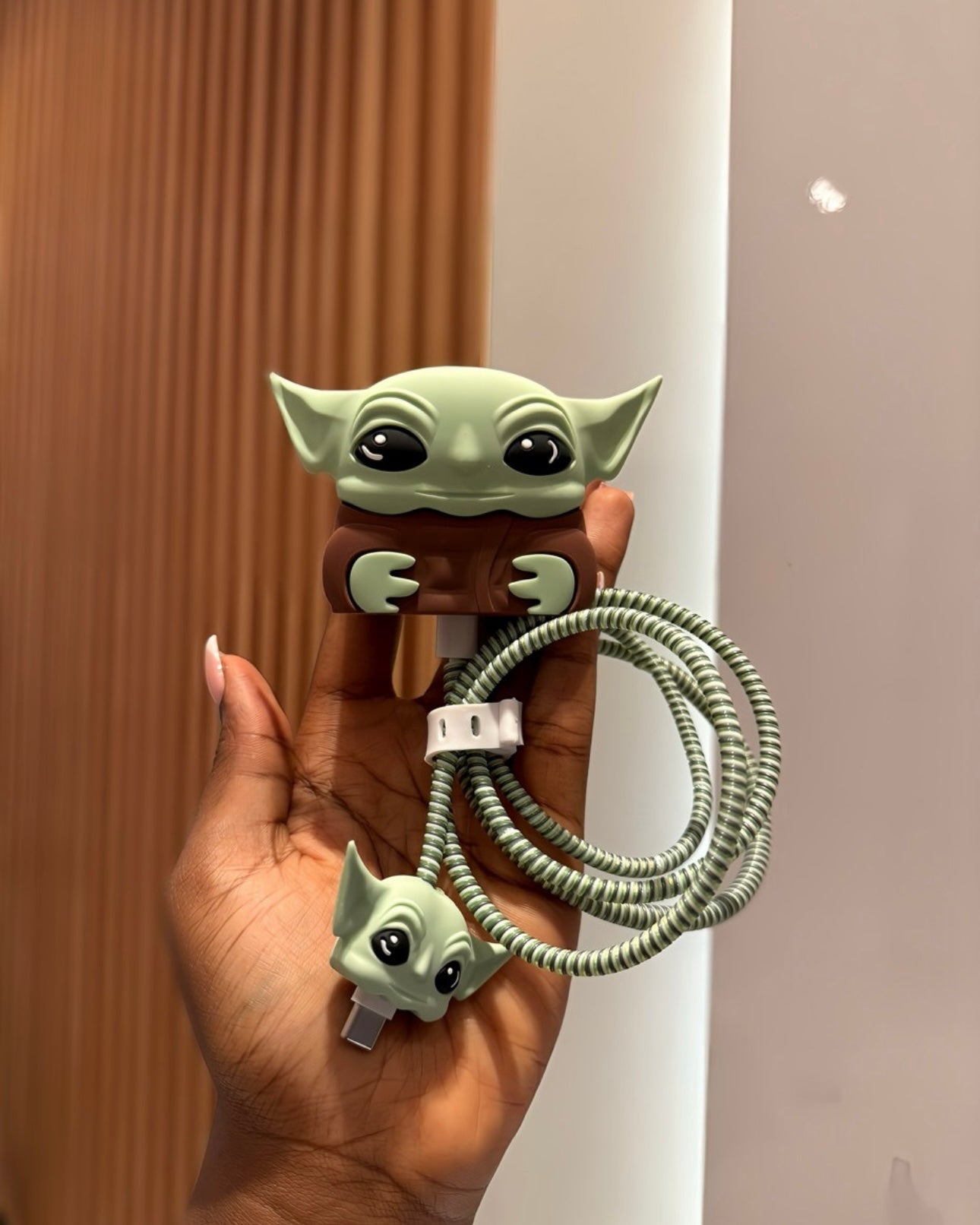 3D Charger Protector
