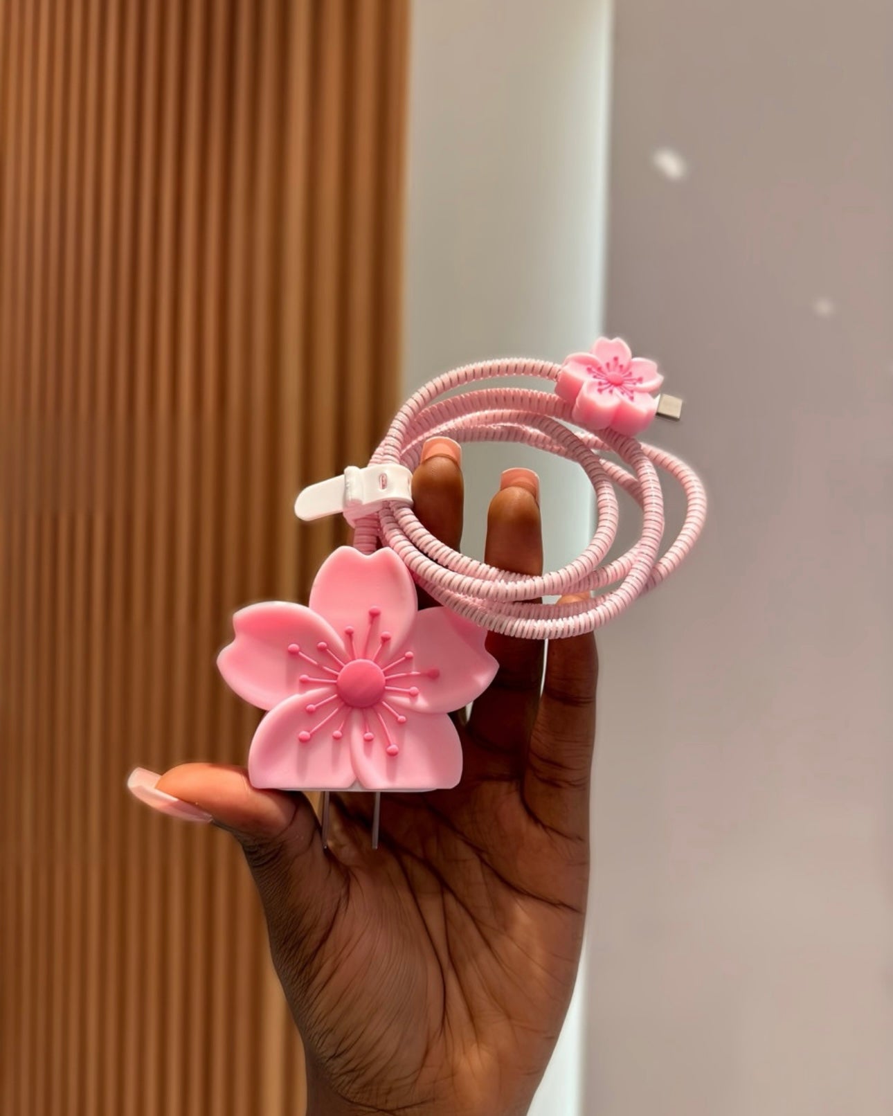3D Charger Protector