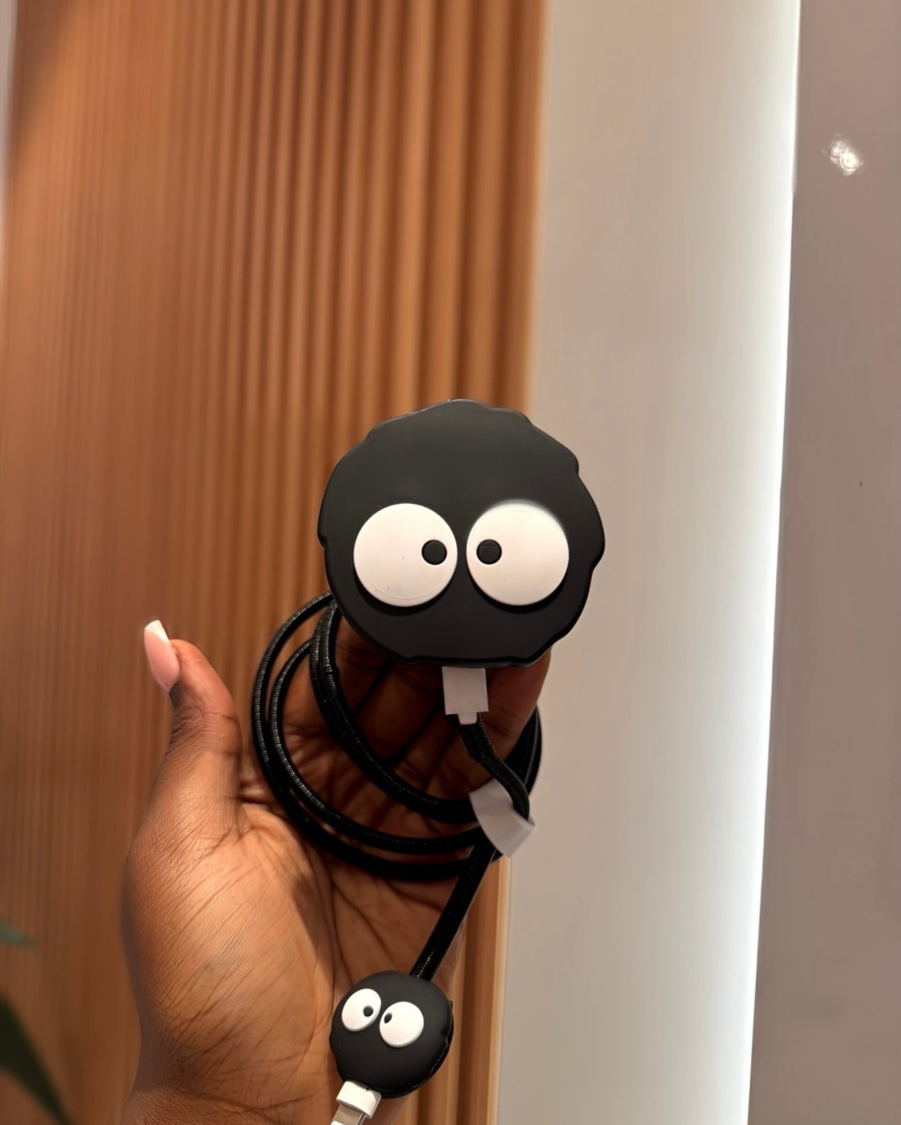 3D Charger Protector