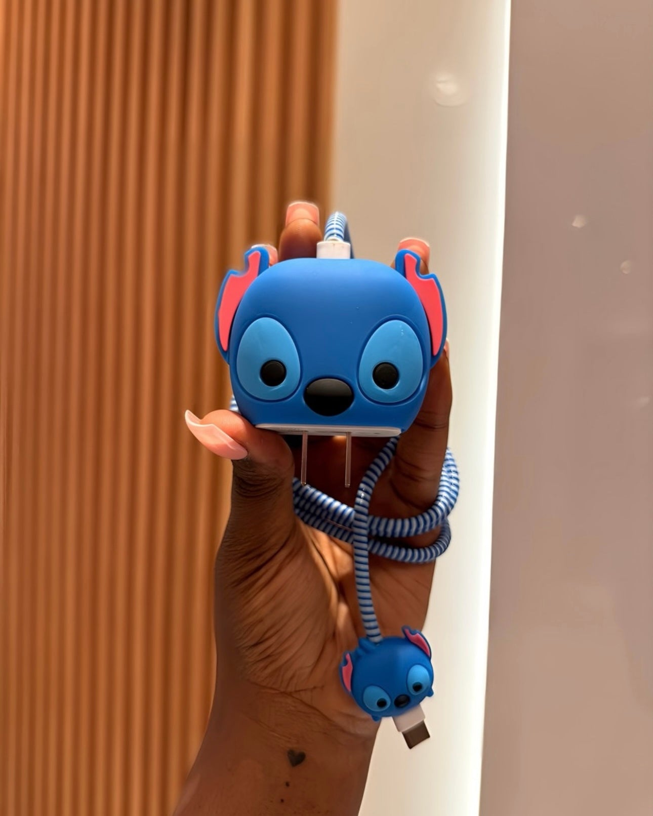3D Charger Protector
