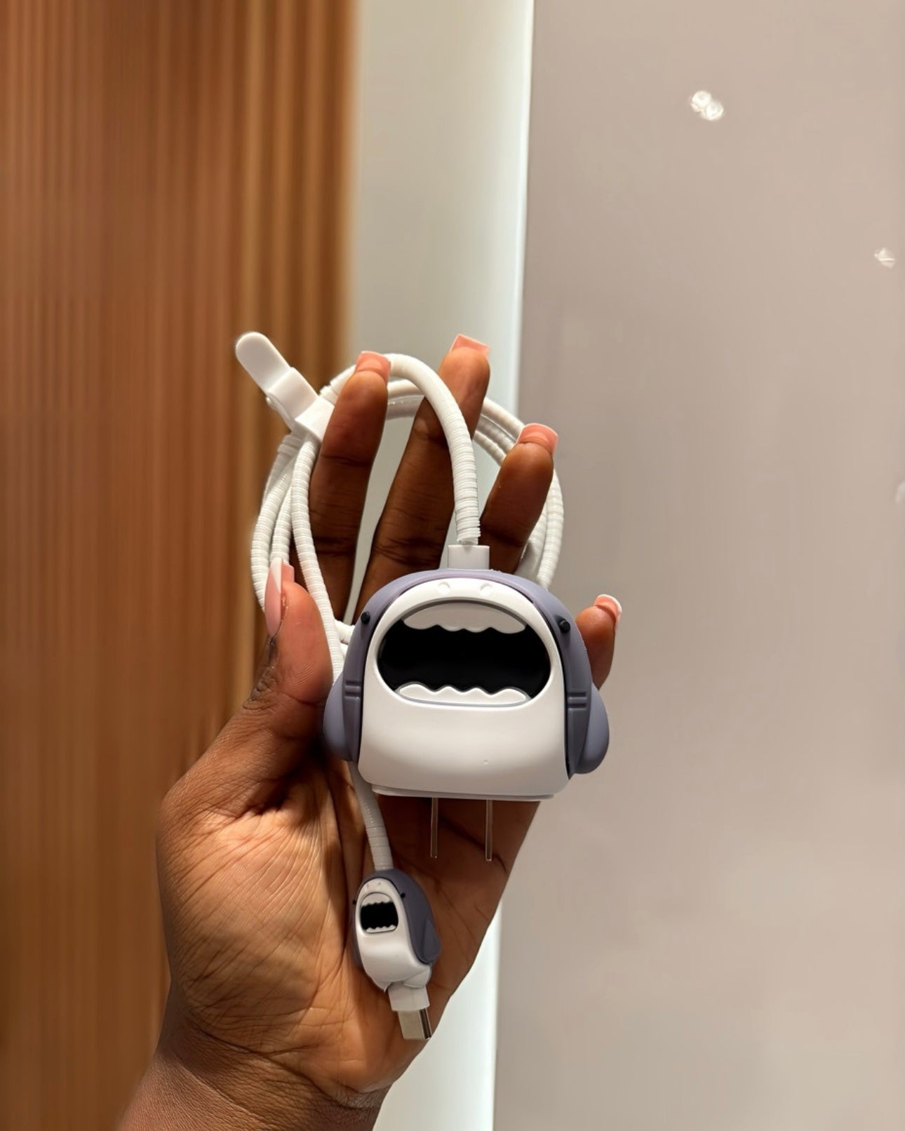 3D Charger Protector