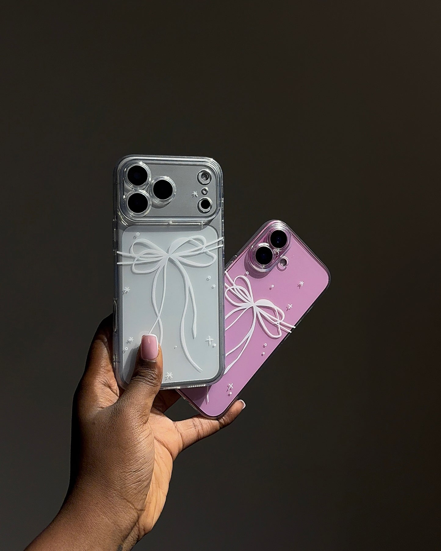 Clear Bow Case