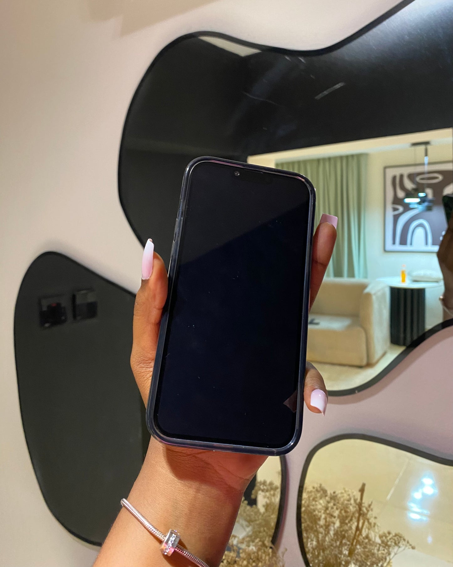 Black Rick & Morty case